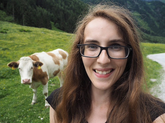 austria cow selfie