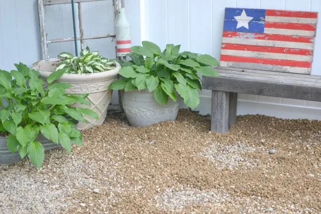 Hosta plants, a bench and American flag