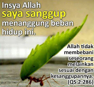 Gambar Kata Kata Keluh Kesah Kumpulan Kata Kata Dalam
