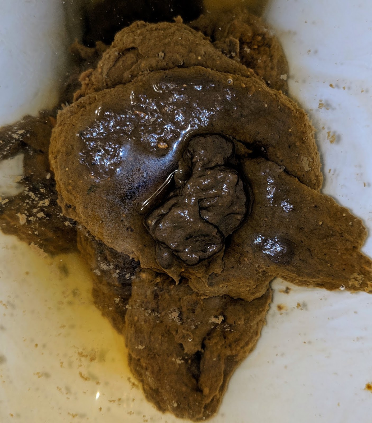My Daily Poo