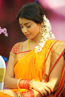 Shriya Saran Stills