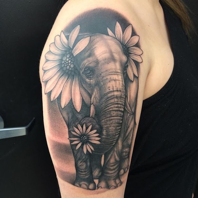 Tatuagens femininas de elefante Tatuagens femininas de elefante