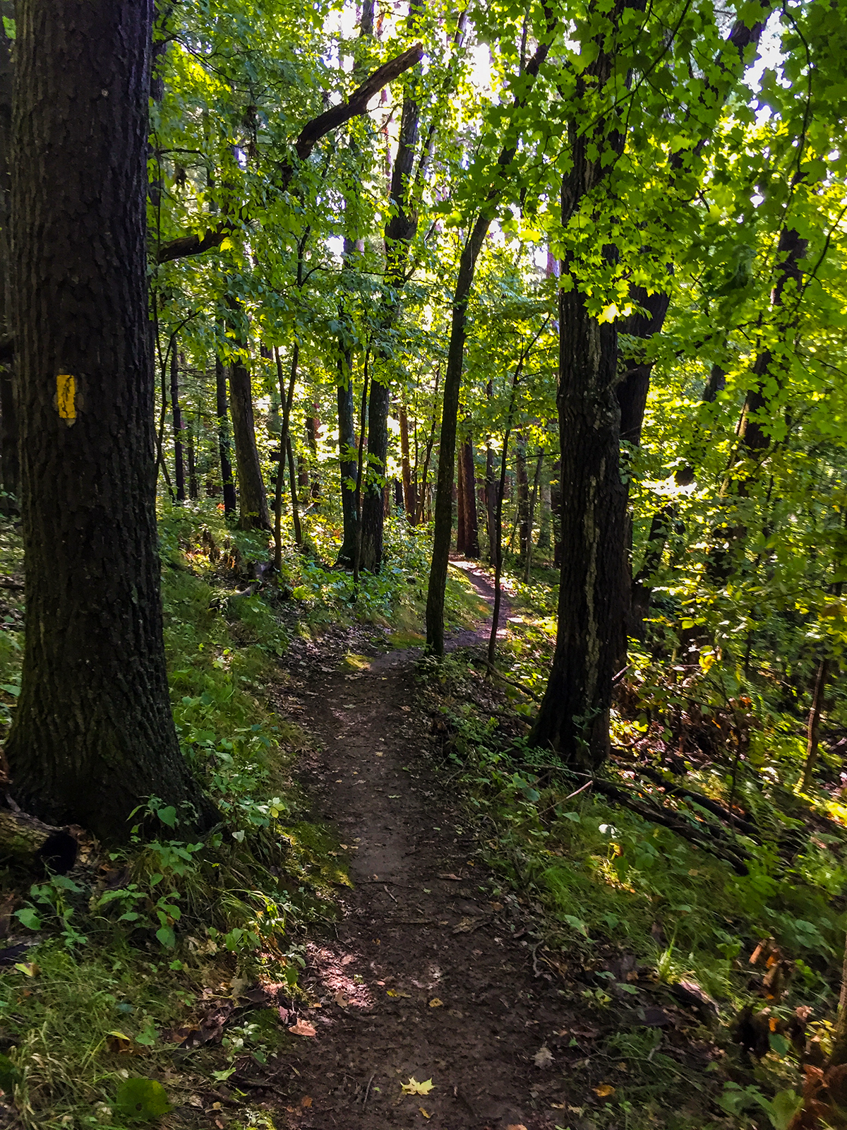 Hiking the Ice Age Trail Straight Lake Segment