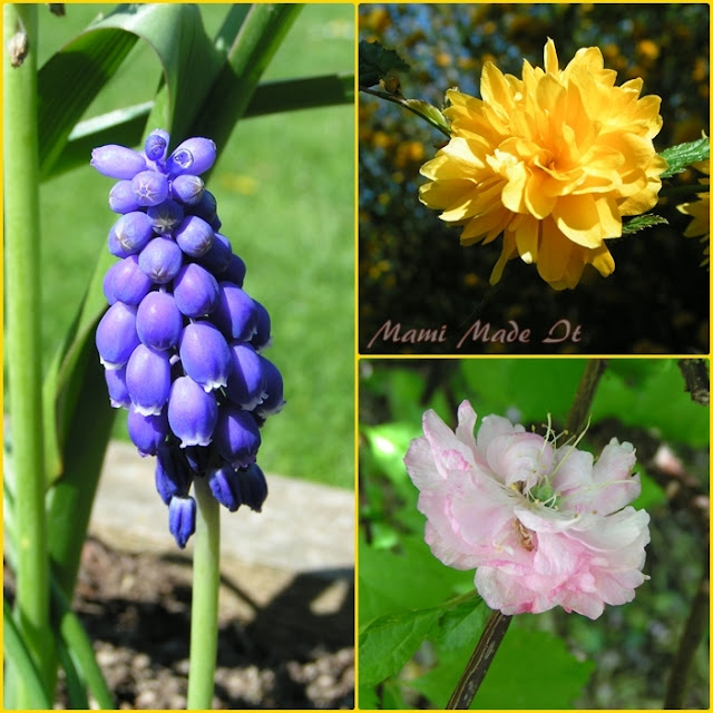 Blossoms in April - Blüten im April
