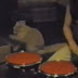 Vídeo da Semana: Gato Percussionista