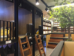 Book Cafés Nolsoop/놀숲 rindsayloss