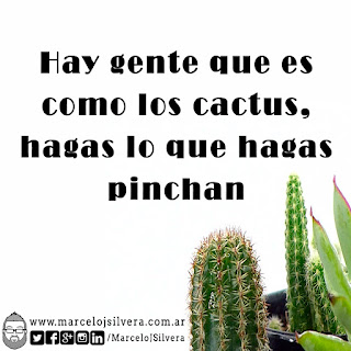 Frase: "Hay gente que es como los cactus, hagas lo que hagas pinchan"