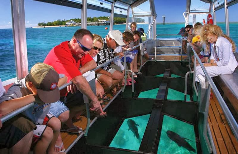 Top 3 Places in Philippines To Take A Glass Bottom Boat Tour