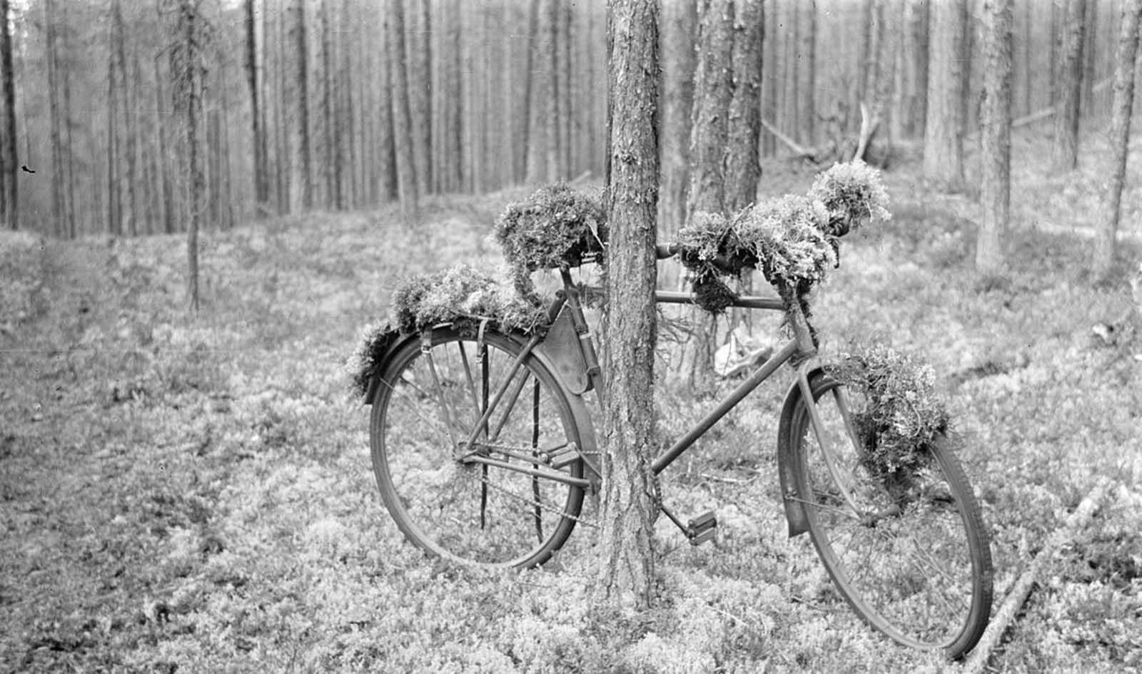 A parked bicycle, camouflaged. Ontrosenvaara, August 17, 1941.