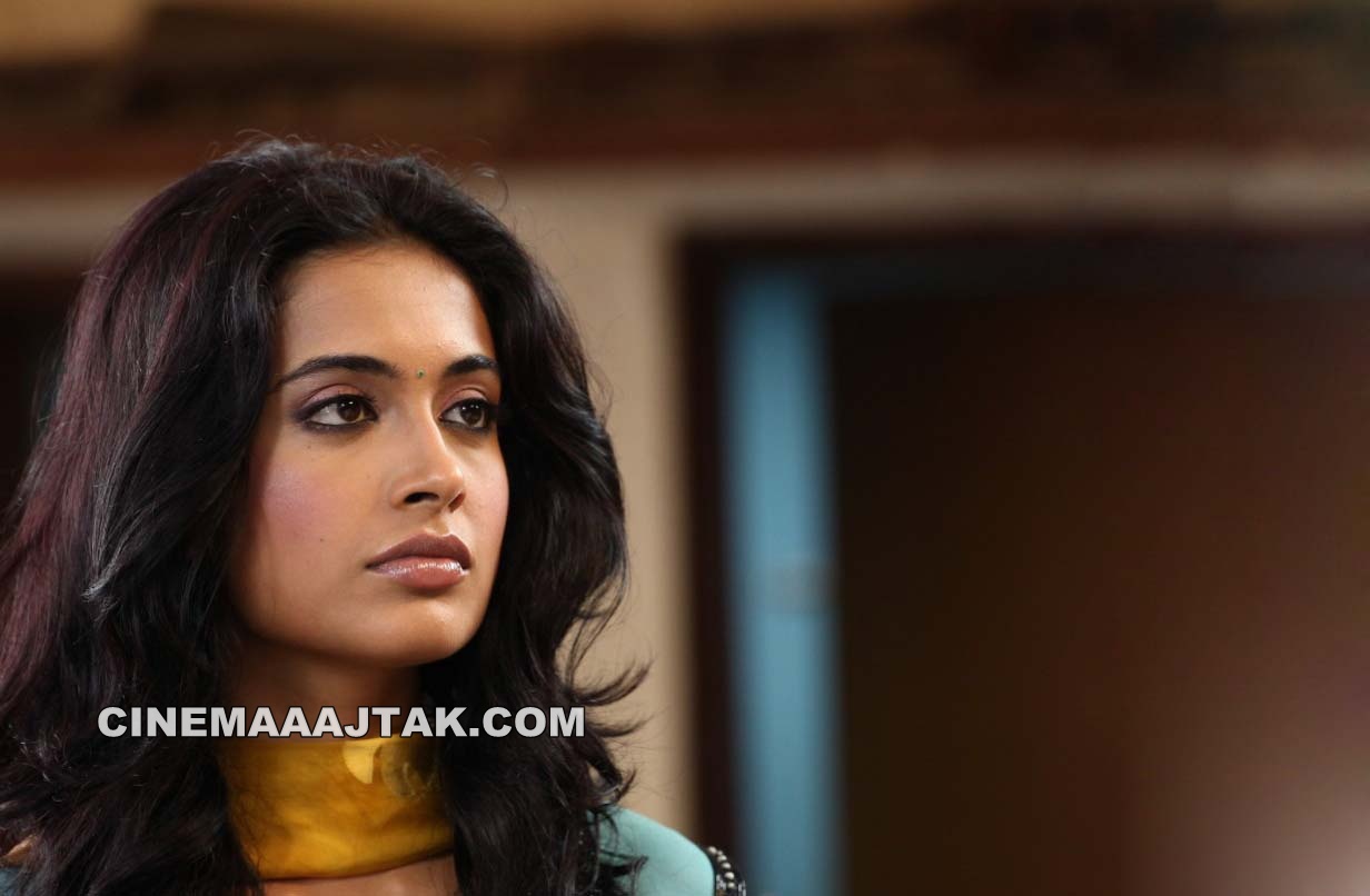 https://4.bp.blogspot.com/-PDTBKe3Hx2g/T4KY_L6HYZI/AAAAAAAABZE/4Zvk1C9Wgg4/s1600/Sarah+Jane+Dias+Looking+Hot+in+Khiladi+Movie+New+Images+(1).jpg