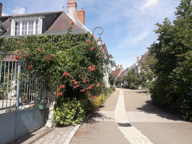 The main street of the village of Chedigny in August showing red flow ers.