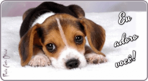 rounded_corners%2B%25289%2529.gif