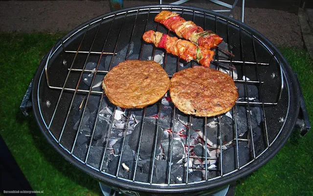 Houtskool barbecue met hamburgers en shaslick stokjes