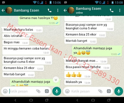 Umpan serbuk Ikan Mas Musim Hujan Umpan serbuk Ikan Mas Musim Hujan