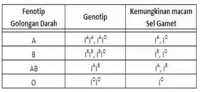 Serbadatips: menentukan golongan darah dari perkawinan 