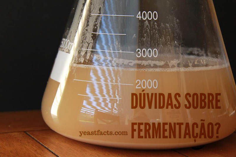 All Beers Leveduras & Fermentação "Yeast Facts" atua com aulas online