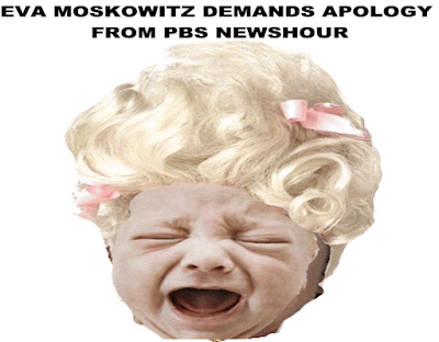 Image result for big education ape eva moskowitz