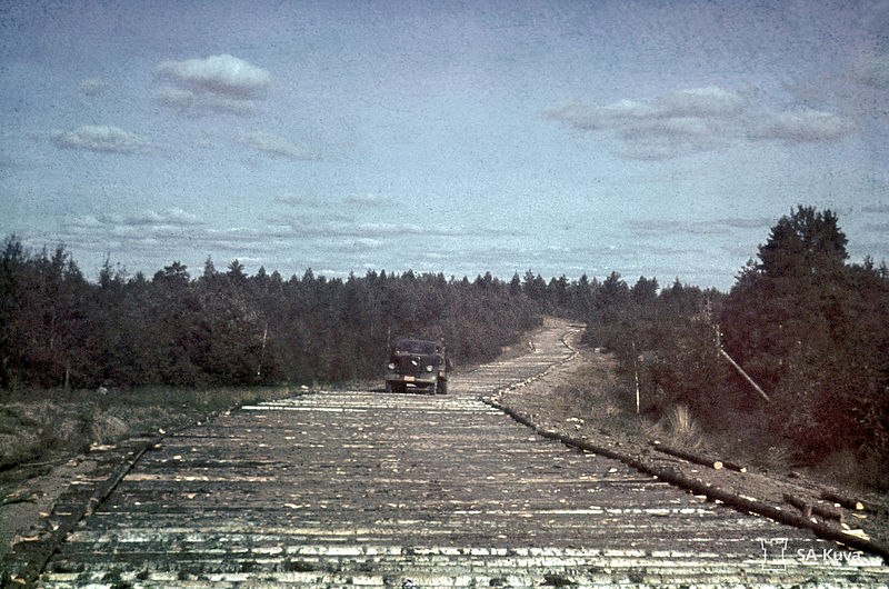 Journey to the Past Last Day Local Historical Corduroy Road Uncovered