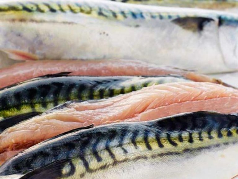 Mackerel Fillets Various Products and Recipe Horse Mackerel Fish, Horse Mackerel Frozen,Horse