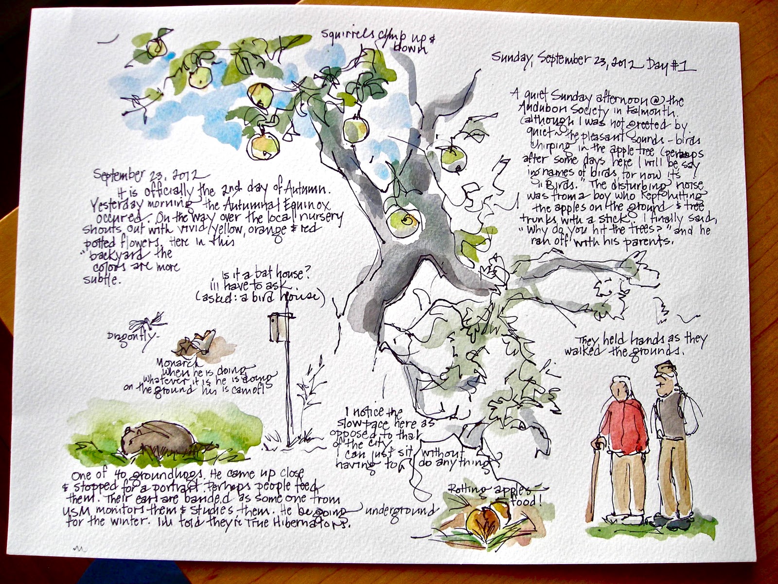 Sketchbook Wandering : Audubon Sketch Journal Project #1