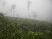 misty mountain misty mountain