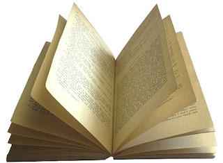 Foto de libros abiertos sin fondo