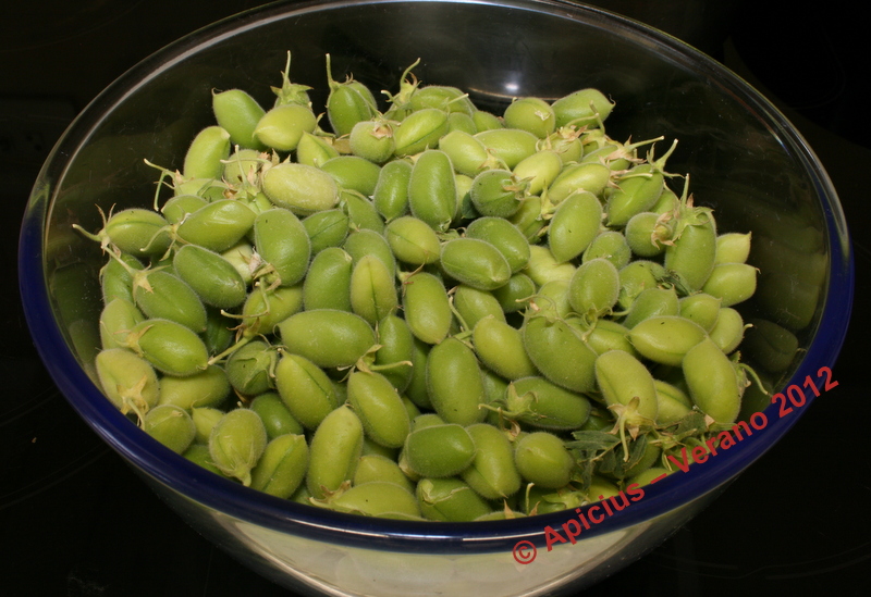 Garbanzos verdes, algo he preparado con ellos La Cocina Paso a Paso