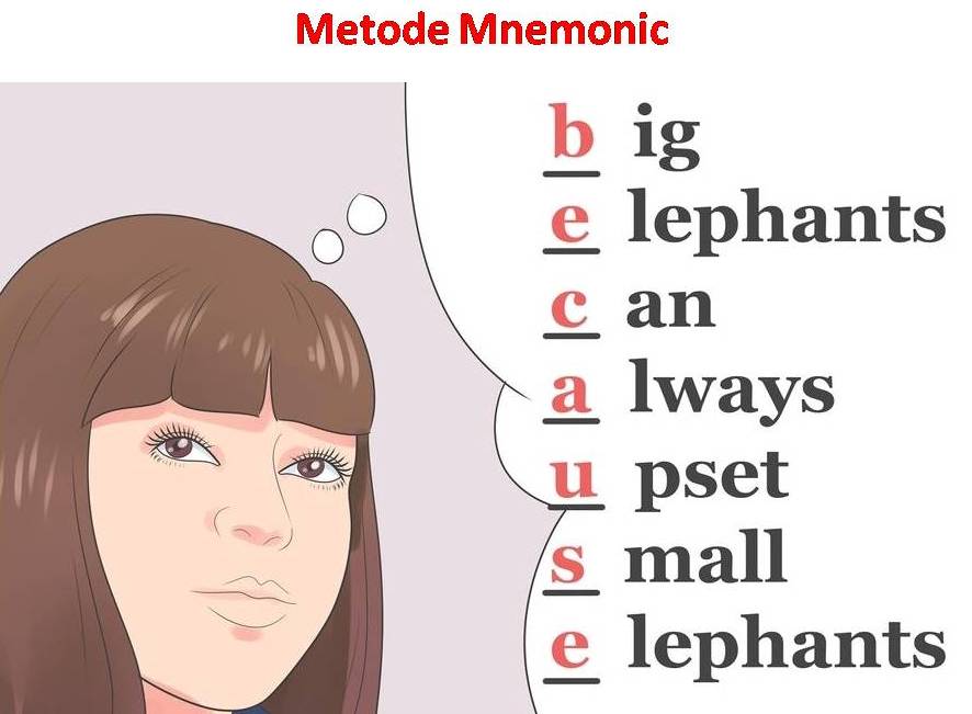 Cara Cepat Menghafal Kosakata Bahasa Inggris Blog Paperplane