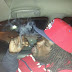 [Artiste BIOGRAPHY] Smoke Stacks [Rapper]