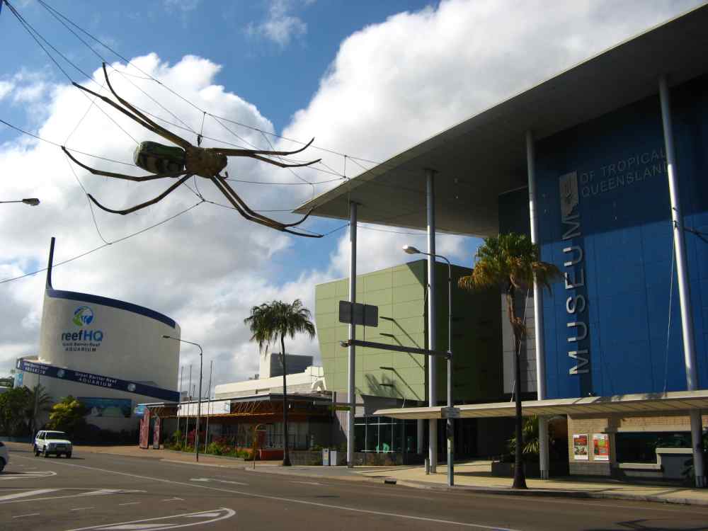 Internship at Townsville Museum 2013 Helen Price Townsville Tropical Museum of Queensland