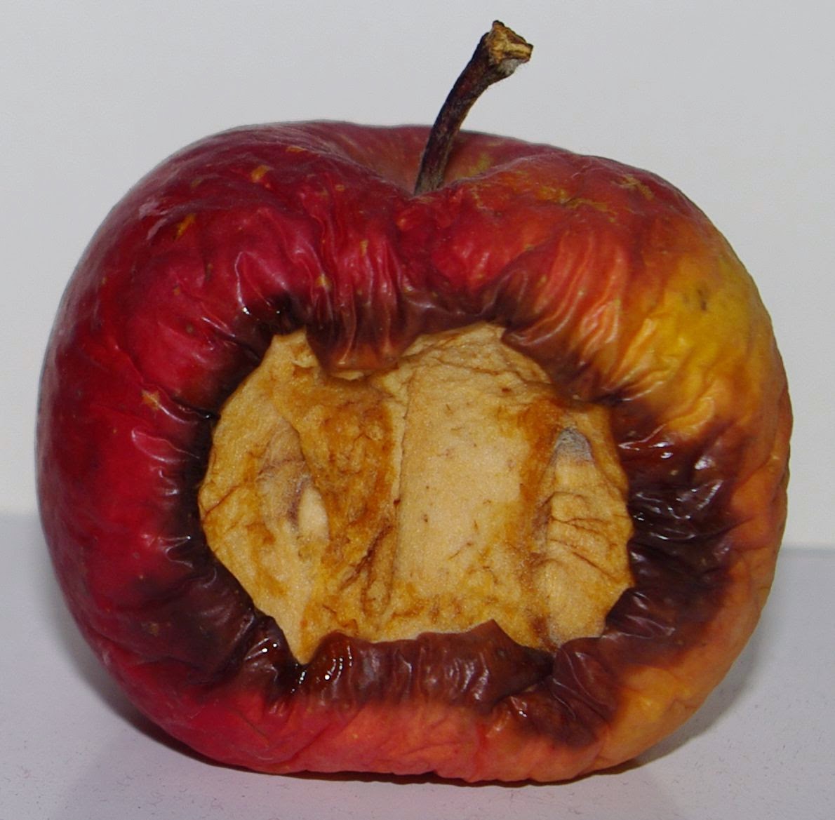 Ужасные фрукты. Испорченное яблоко. Гнедая в яблоках.