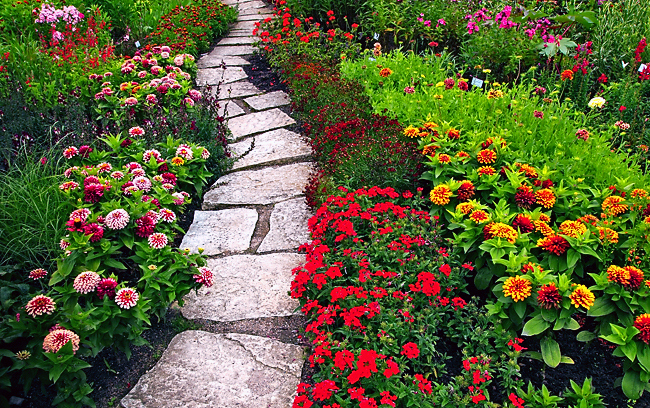 fascinating flower garden designs - Decor Units
