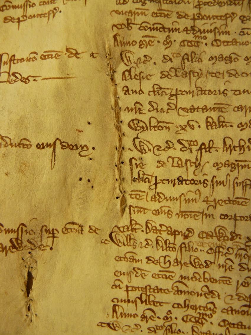 Parchment's hidden stories revealed