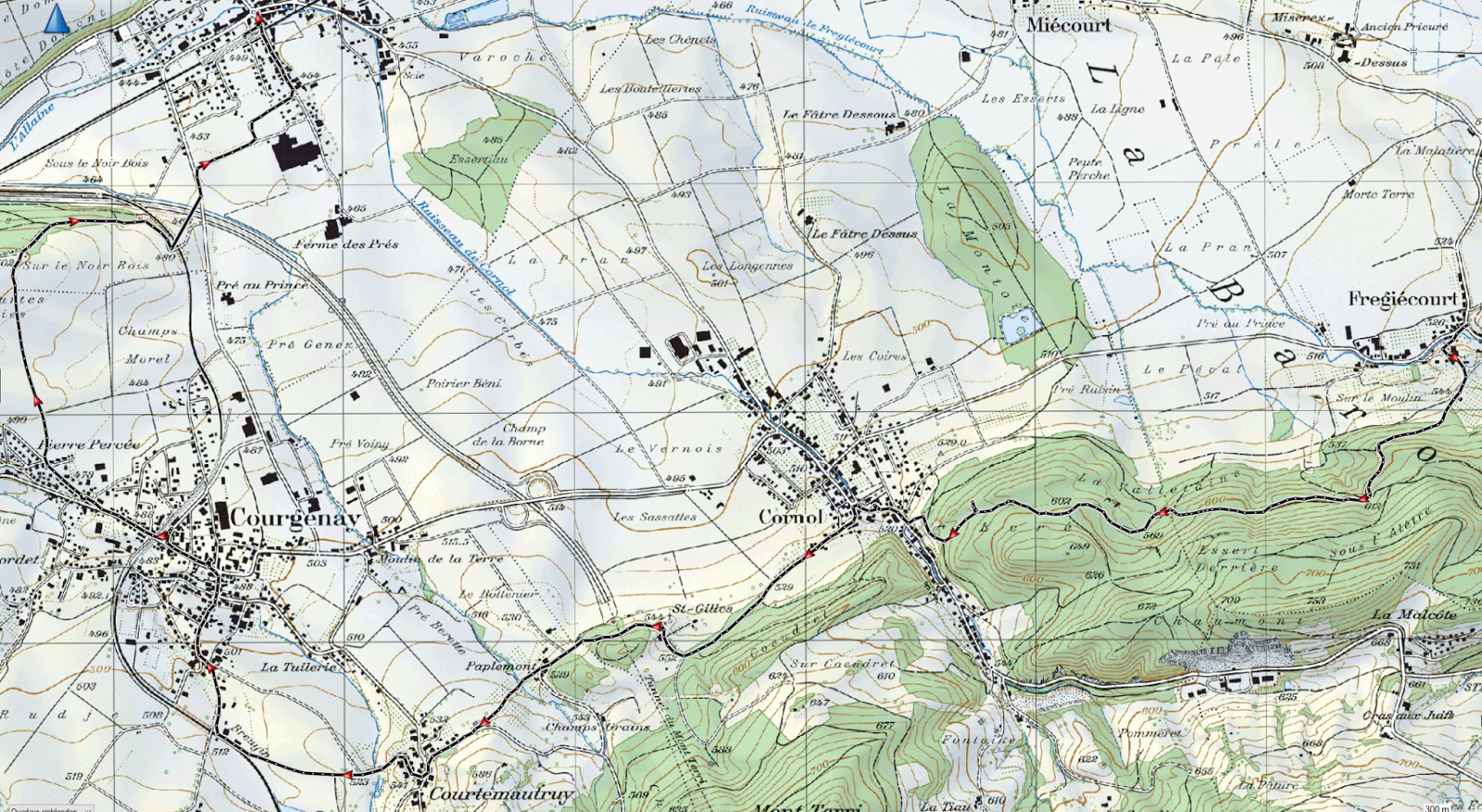 Projekt Gemeindewandern Schweiz Wanderung FregiécourtAlle
