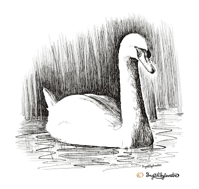 North East artist Ingrid Sylvestre Wildlife illustration in fine line for interpretive panel Joe's Pond Durham Wildlife Trust North East artist Ingrid Sylvestre Wildlife illustration in fine line for interpretive panel Joe's Pond Durham Wildlife Trust