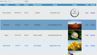 How to filter records in MVC Webgrid using textbox
