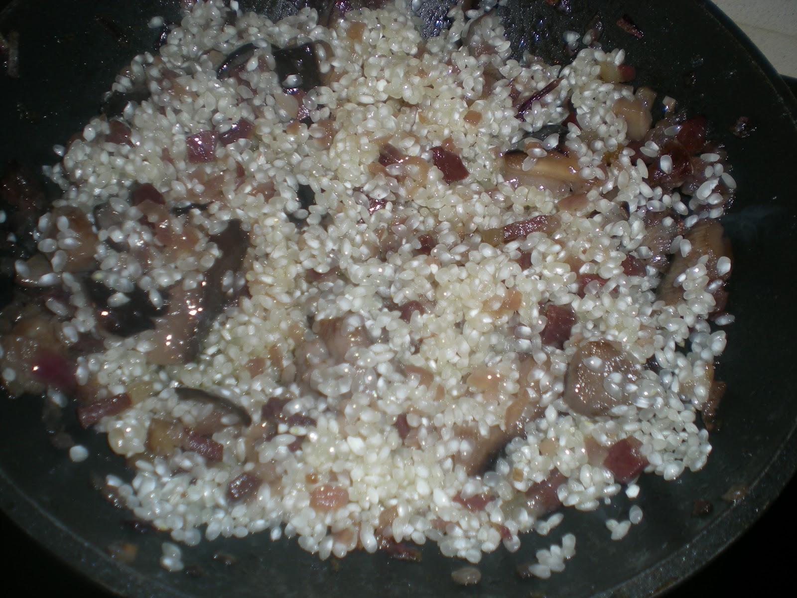 DSCN9521.JPG