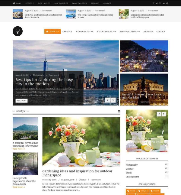 Vaga clean elegant theme