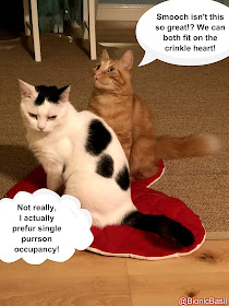 Feline Fiction on Fridays #119 at Amber's Library ©BionicBasil® Valentine's Throwback 2018