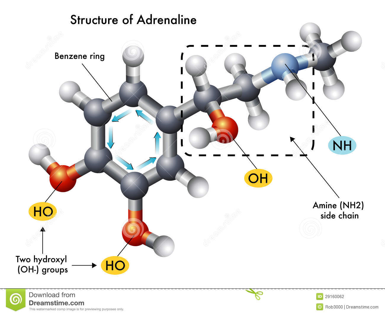 adrenalina sintomi scaricare