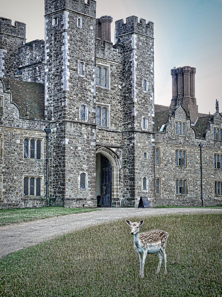 Passionate about History Knole House receiving needed TLC