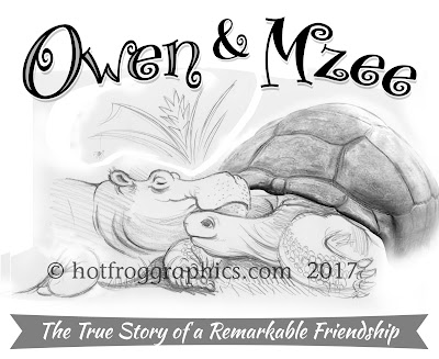 pencil sketch of Owen and Mzee hippo and tortoise