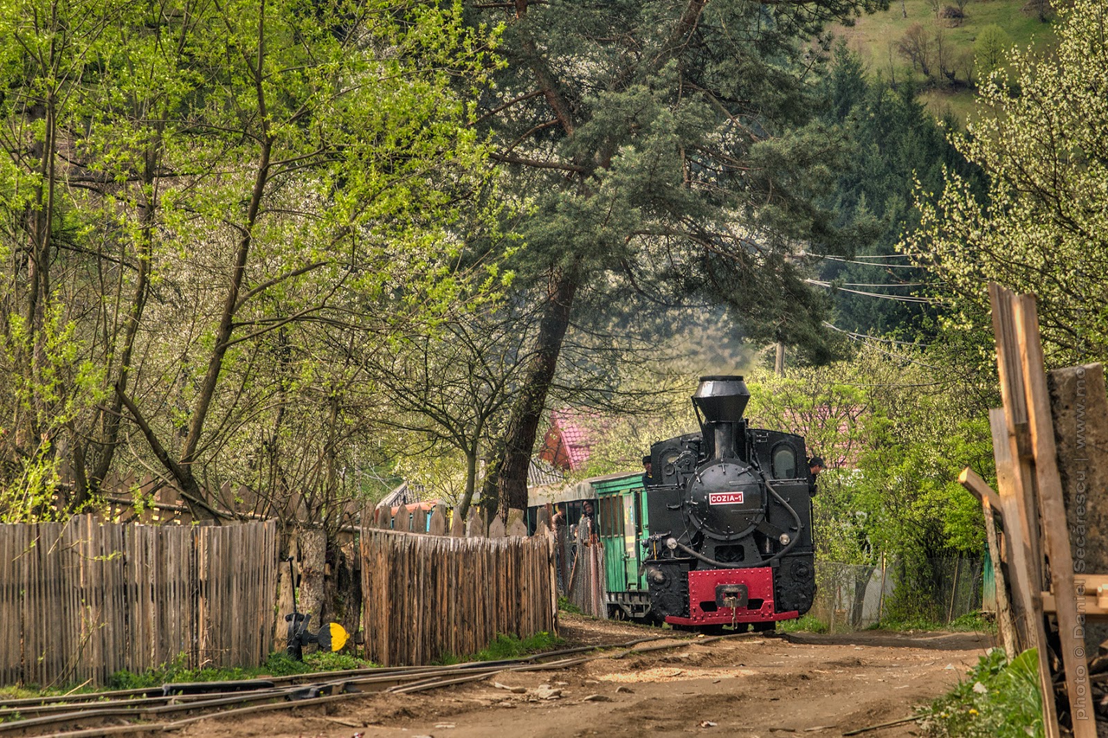 Mocanita Trenul Forestier Cu Abur Pe Linie Ingusta