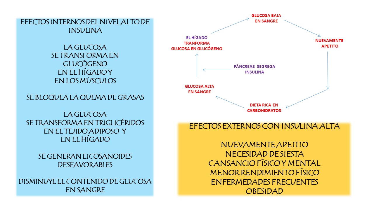 Insulina alta en sangre dieta