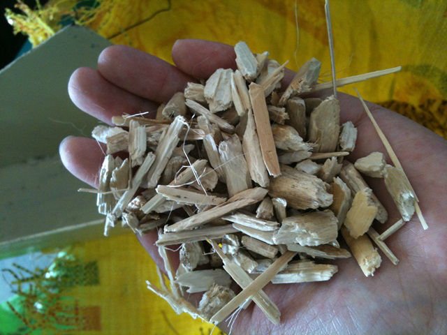 Kenaf in Thailand: Kenaf in Thailand