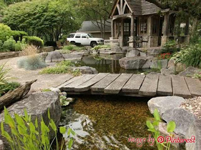 garden pond garden pond