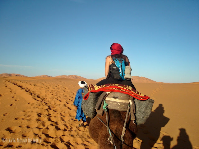 Paseo en camello por el Sahara Paseo en camello por el Sahara