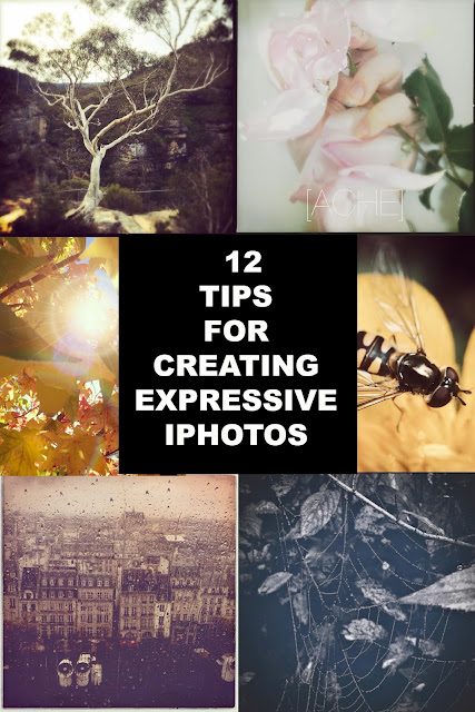 12 tips for creating expressive iphotos Galia Alena