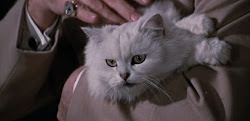 The Gallery of CLASSIC MOVIE CATS