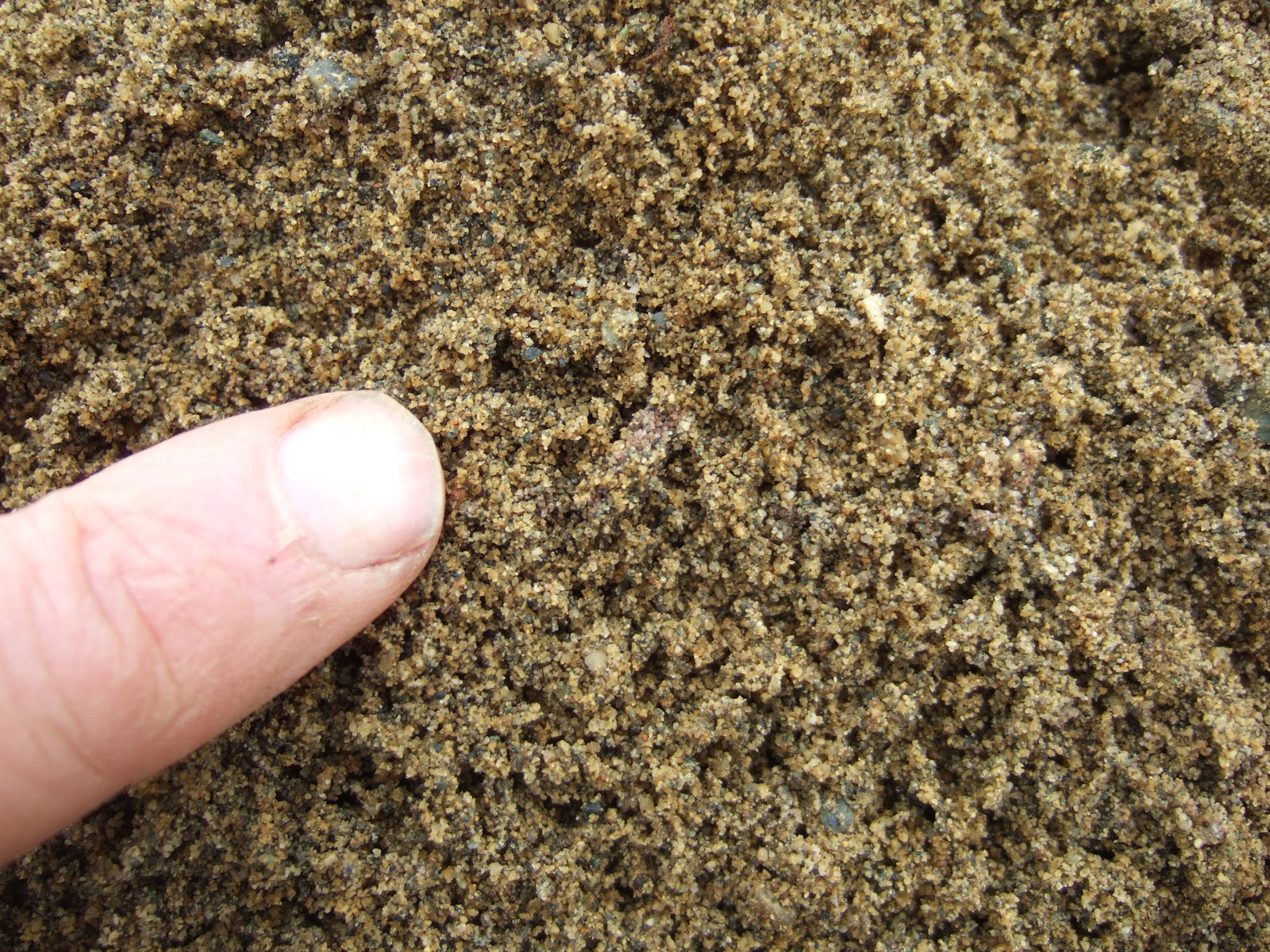 Reading the Washington Landscape: Curiosity in Everett